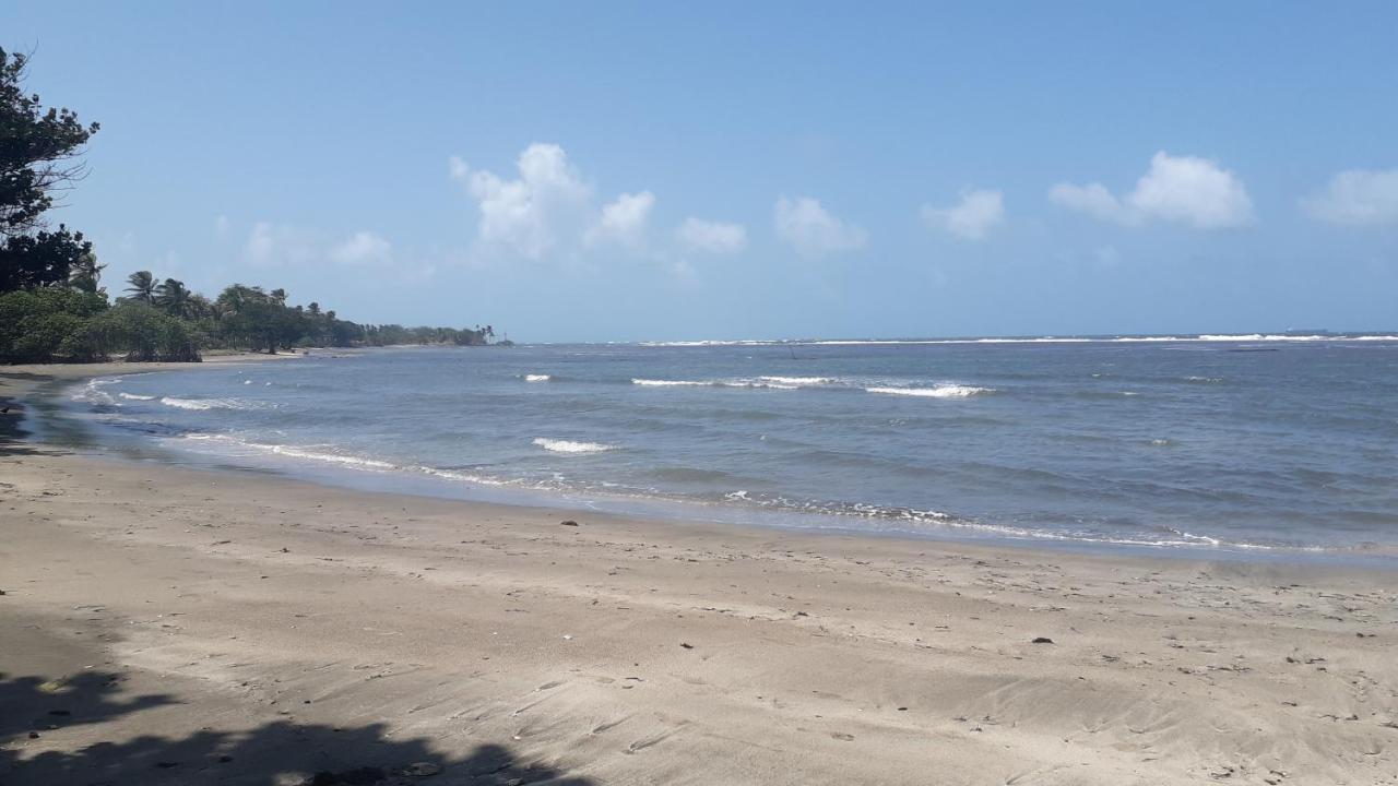 En Balabeach Maria Chiquita In Front Of The 2hab Colon