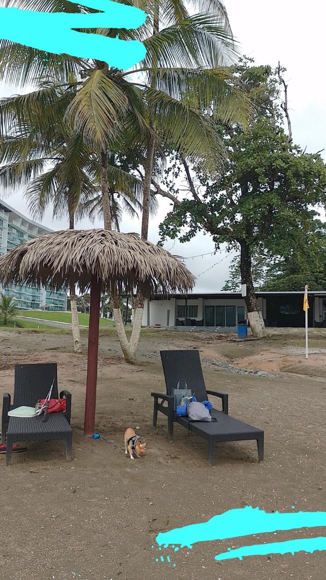 En Balabeach Maria Chiquita In Front Of The 2hab * Colon