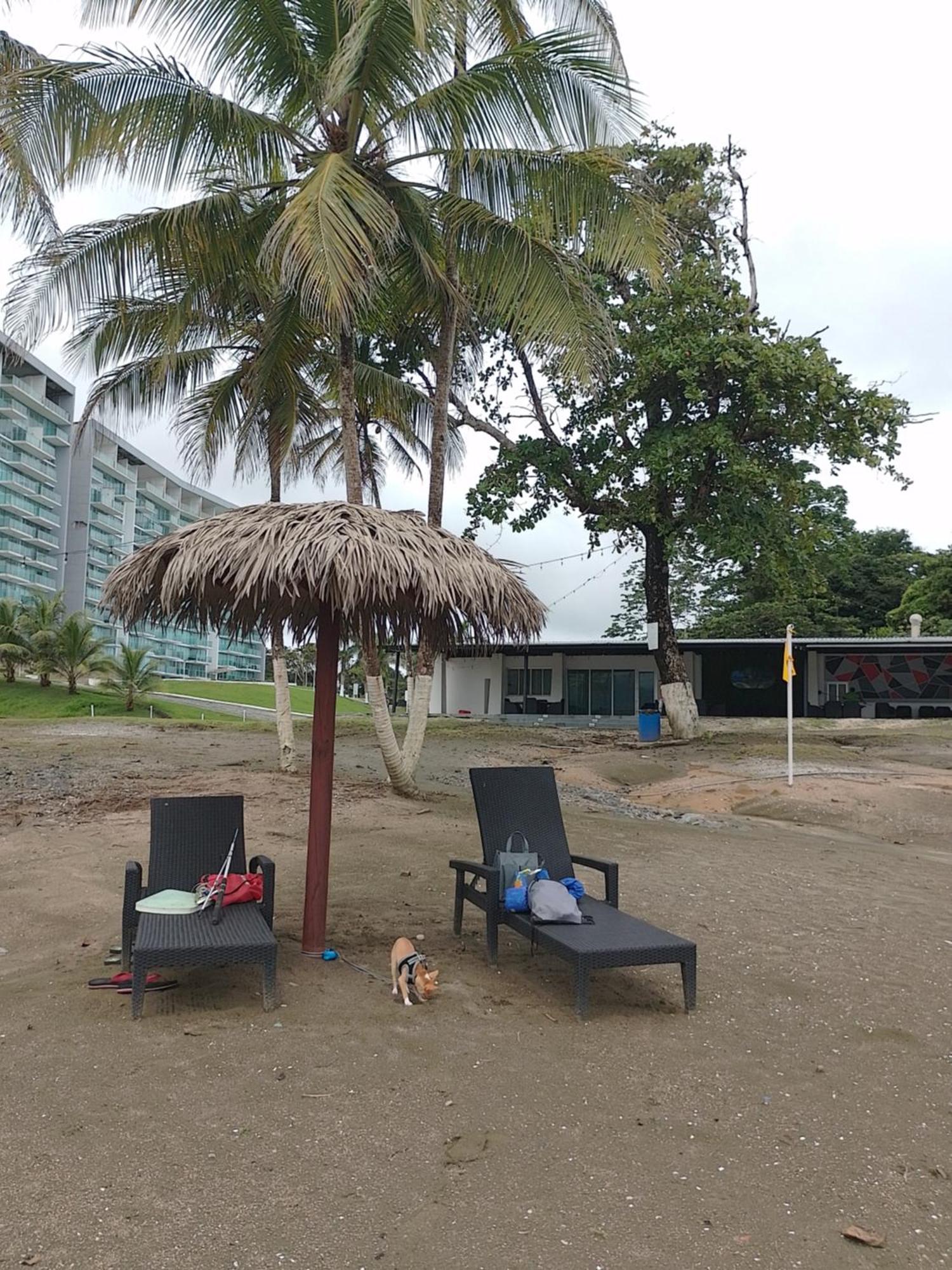En Balabeach Maria Chiquita In Front Of The 2hab