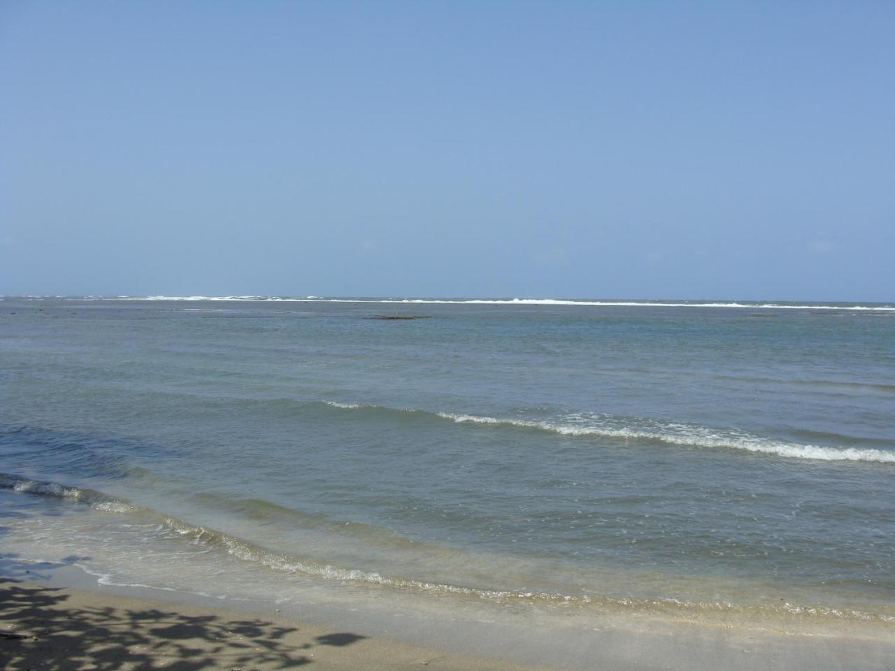 En Balabeach Maria Chiquita In Front Of The 2hab
