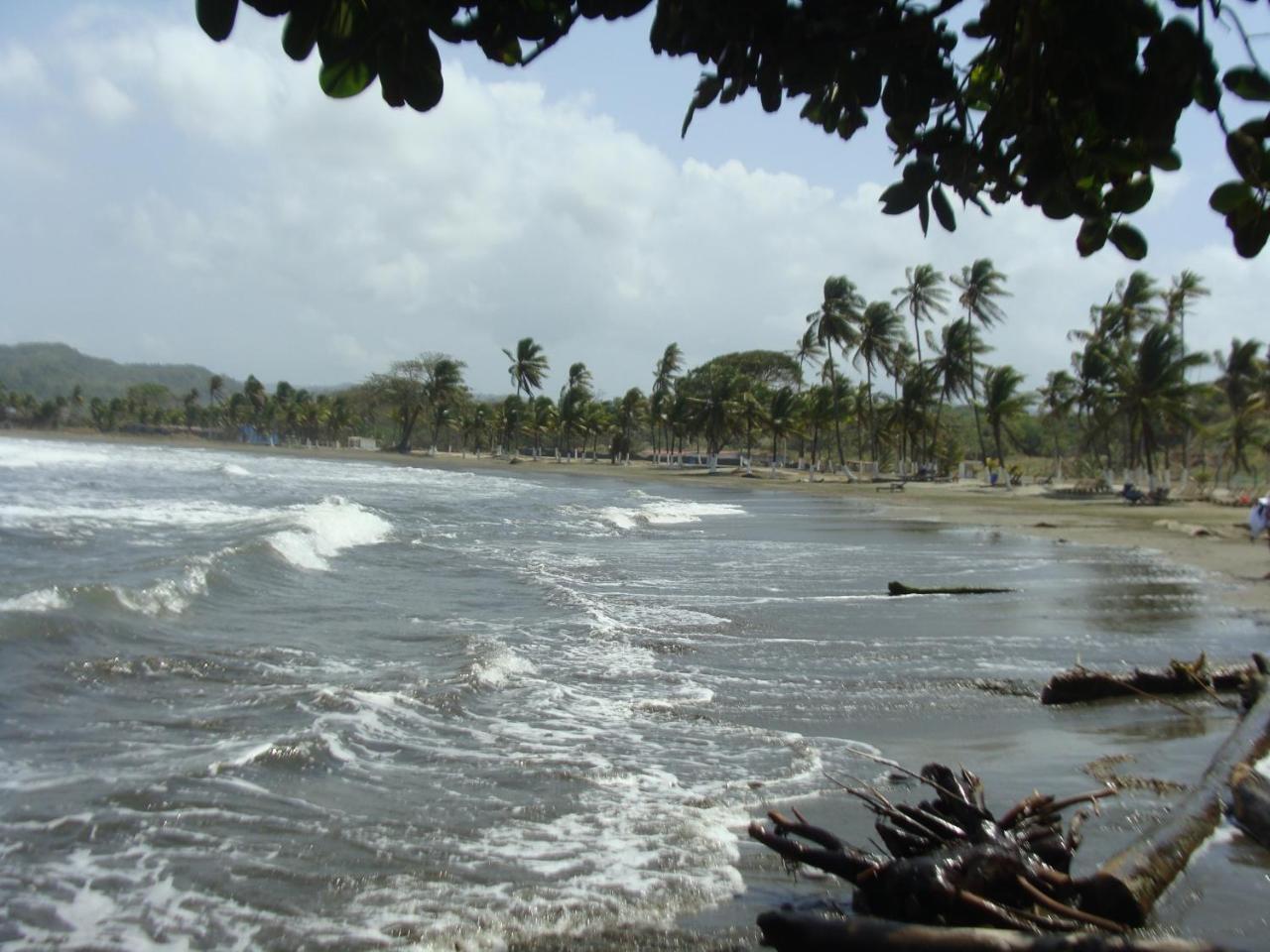 En Balabeach Maria Chiquita In Front Of The 2hab