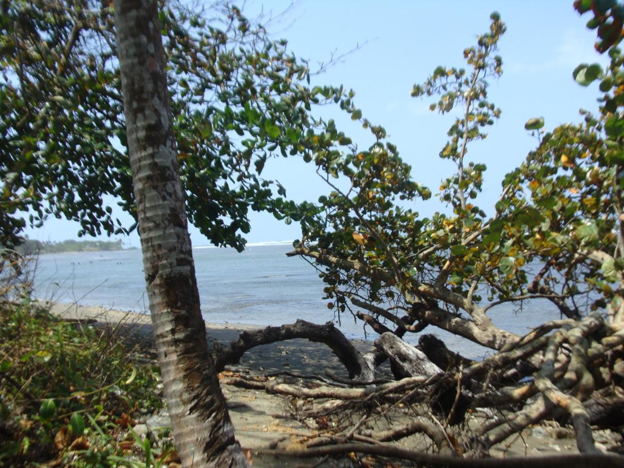 Apartamento En Balabeach Maria Chiquita In Front Of The 2hab Colon