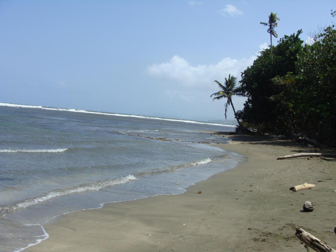 Apartamento En Balabeach Maria Chiquita In Front Of The 2hab